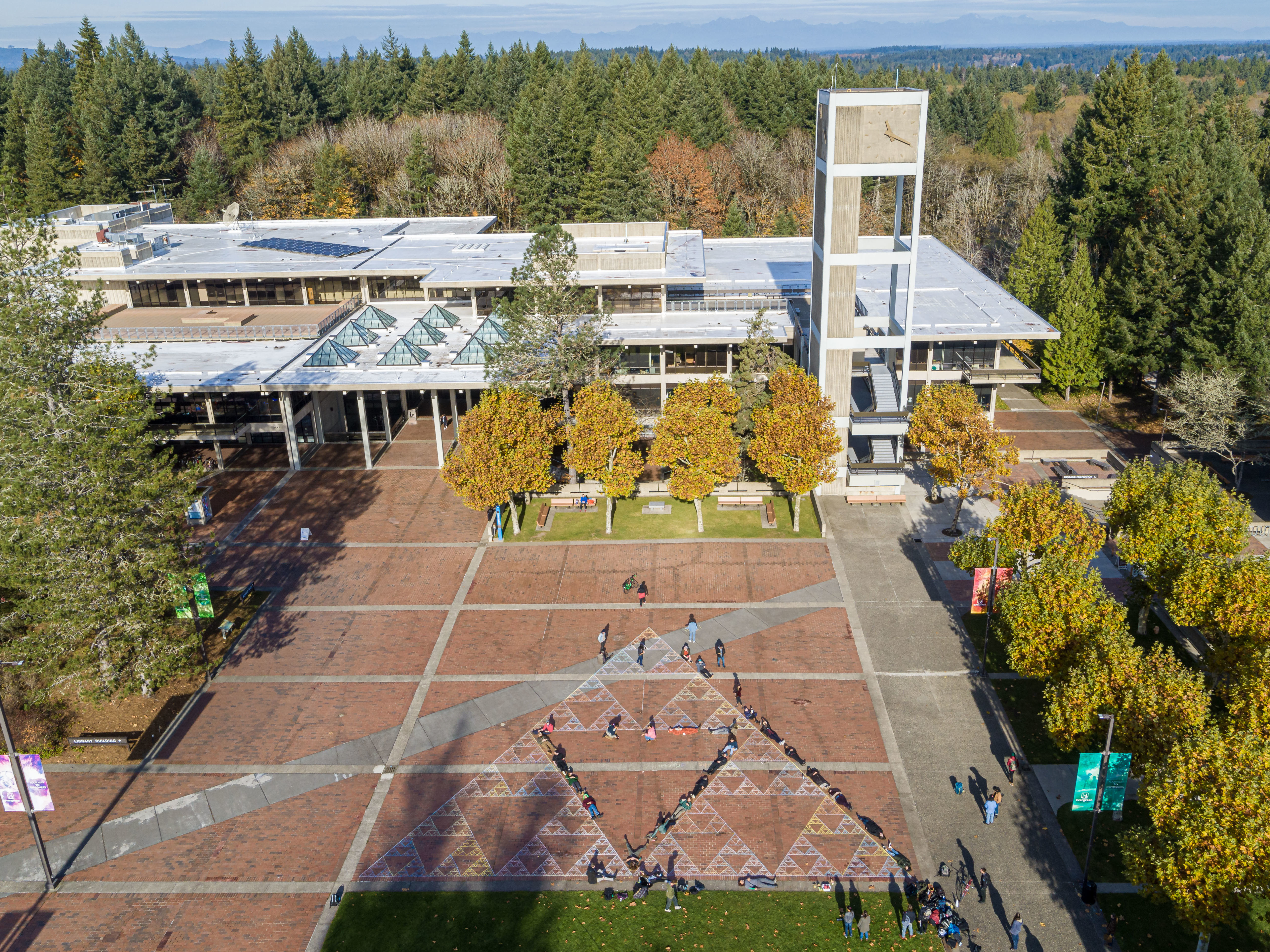 Evergreen Red Square 2